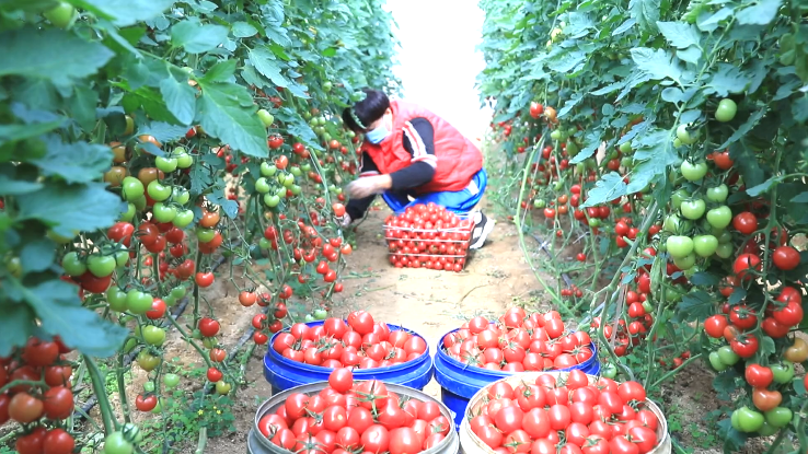 С����ϲӭ���S�ա�����������������t������e����