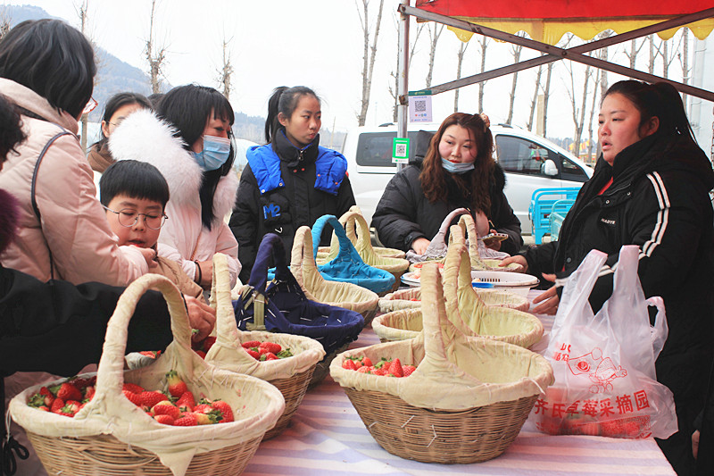 ��ݮ�h��c�´� | ���f�(zh��n)��ɽ�ڲ�ݮ��ժ��(l��)Ȥ���������w�(y��n)�e����ζ