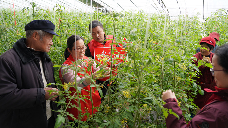 �����l(xi��ng)�����d | ���Ѕ^(q��)����·�ֵ���Ո(q��ng)�r(n��ng)����(zhu��n)���_(k��i)չ�Nֲ���g(sh��)ָ��(d��o)