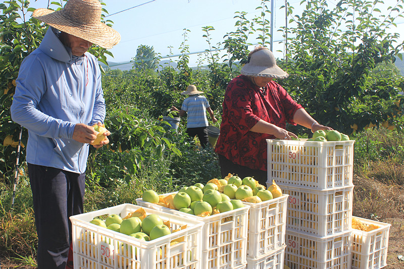 ��ó������Ѕ^(q��)ǰ�����@�����@���������ˣ�