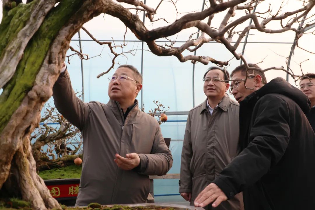 ���f��ί����(sh��)ӛ������ί��(sh��)ӛ����(gu��)�ށ�(l��i)�F�ǅ^(q��)�{(di��o)��ʯ��a(ch��n)�I(y��)�l(f��)չ����